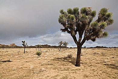 类魂ARPG《艾诺提亚：失落之歌》发售日确定